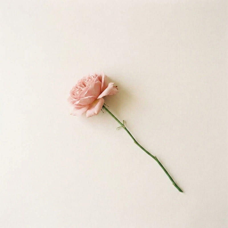 Beautiful arrangement of premium flowers in soft natural lighting